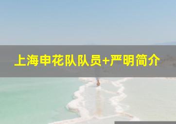 上海申花队队员 严明简介